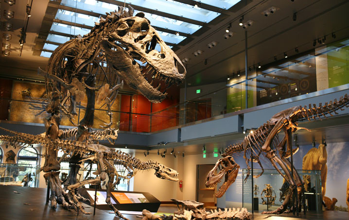 next_project_dino_hall_slide_01