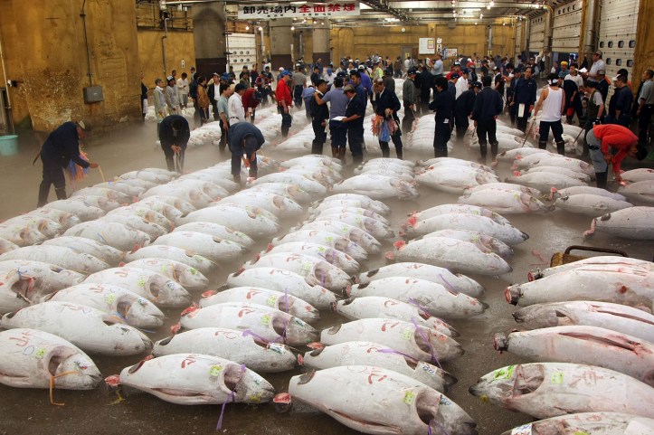 tsukiji-fish-market-today-tokyo