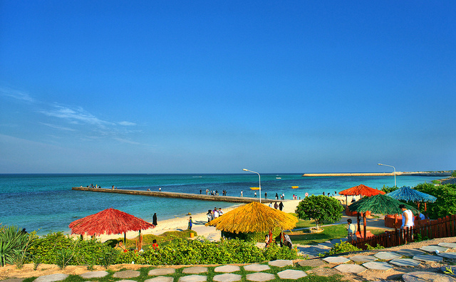 921165cb3140d8d4652f5686c797d0d0