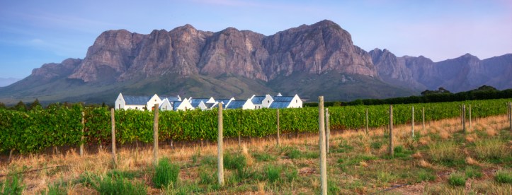 header_stellenbosch