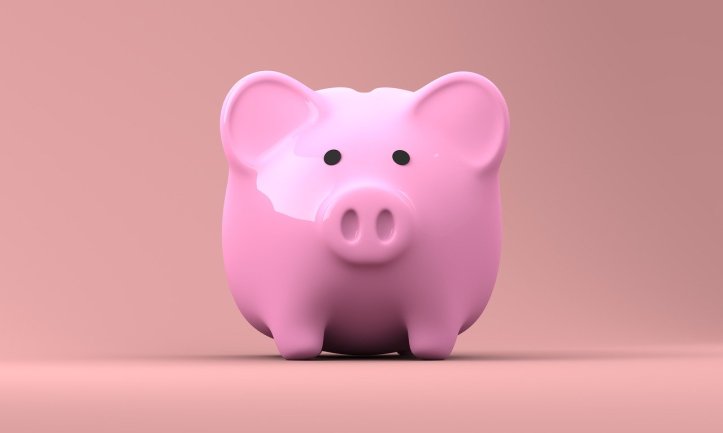 piggy-bank-2889042_1280(11)