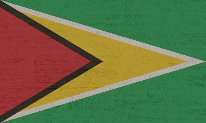 Quelle est la signification du drapeau de la Guyane ? – Que Faire Que ...