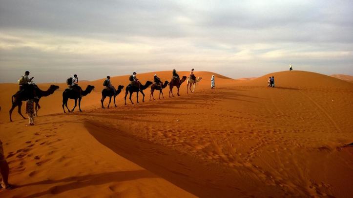 Un groupe de personne en chameau qui visite le desert