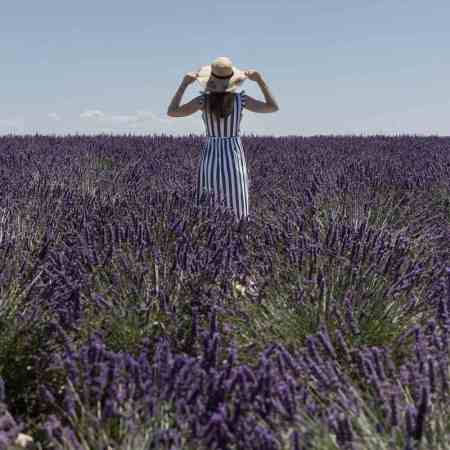 Une femme debout au milieu des lavandes